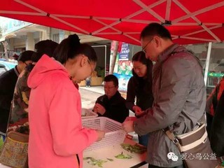 爱心鸟公益